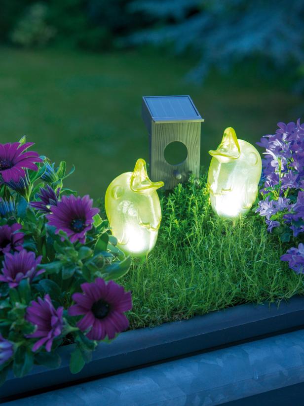 Solar Light Design Ideas HGTV